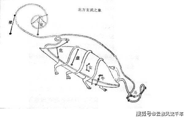 山海經星獸系列二十八星宿中的室火豬壁水貐以及騰蛇