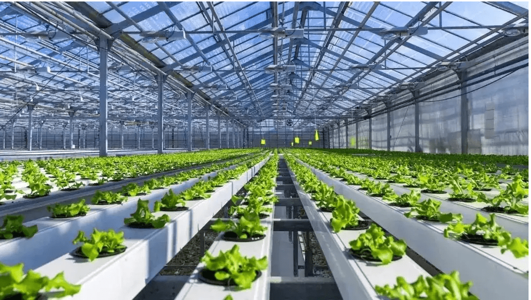 温室大棚智能控制系统运用科技指导生产