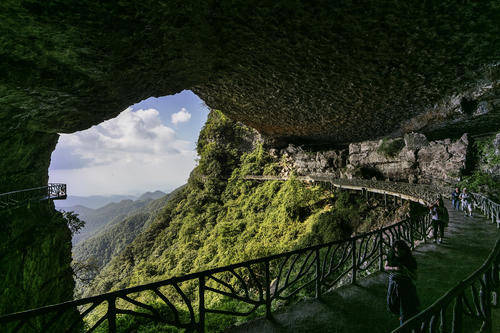 重庆低调景区,峰谷绵延数十条山脉,素有"植物王国"之称_金佛山_人们_