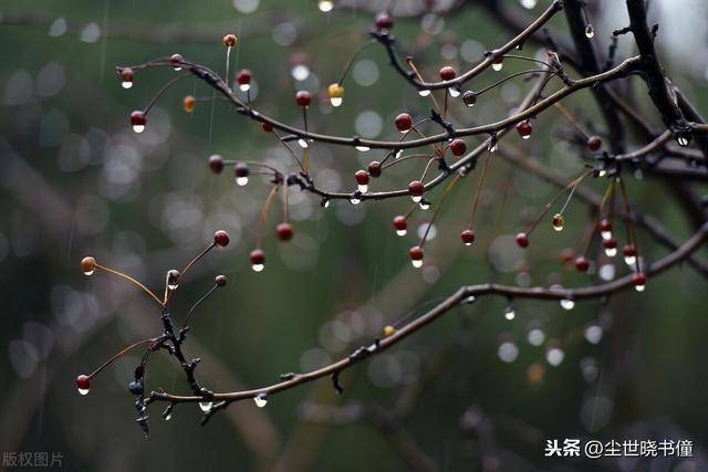 楊萬里這首聽雨詩意境唯美雖然只有短短几句但是寫得生動有趣