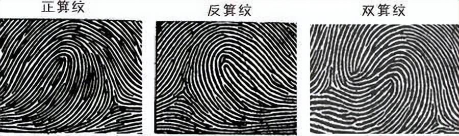 有开口,如高山流水般的纹路,一般开口朝向同一只手小指方向的为正箕纹