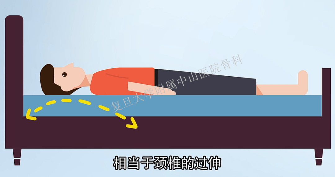 专家教你如何科学选枕_脊柱_颈部_上海市