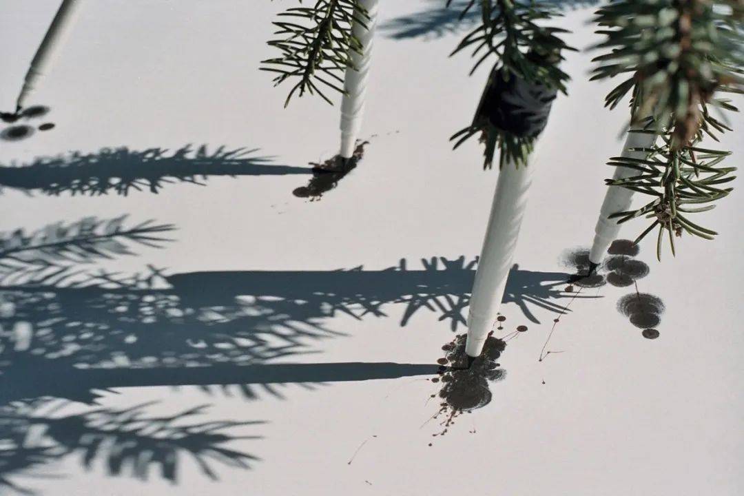 远方充电站timknowles风与树的画