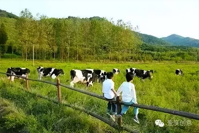 Kaiyun 开云体育休闲农业用地政策分析：能找到的政策、能想到的办法都在这里了(图9)