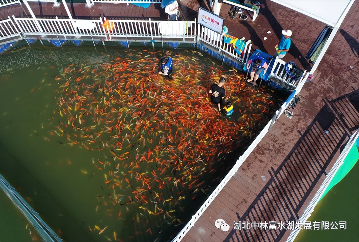 活动通知鱼您同乐富水湖渔趣乐园陪您欢乐过五一