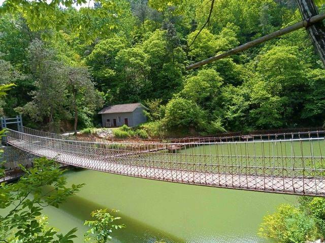 像五四村,三河口村联合建设陌上花开生态农庄一样,大河坝镇高桥村,共