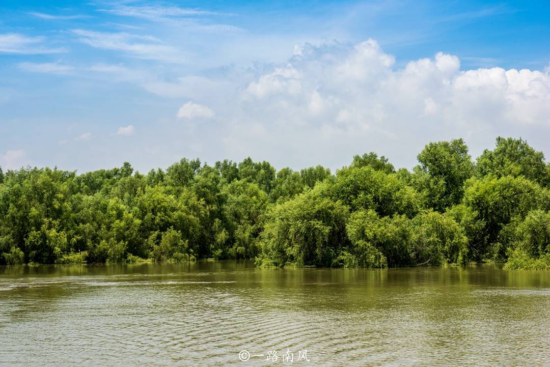 广州市最大的湿地公园，藏在南沙海边，美得像仙境，你去过吗？