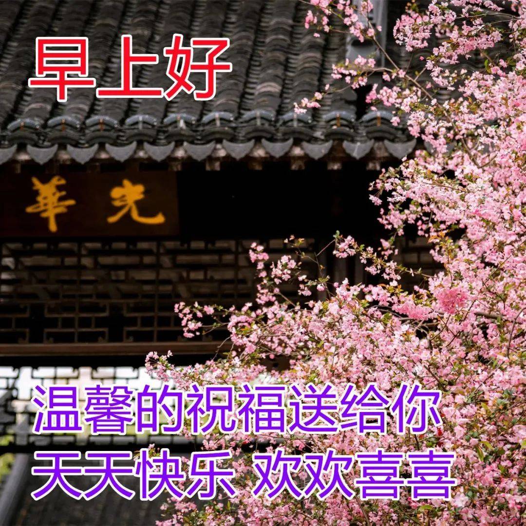 原创8张非常好看的早安问候祝福风景图片带字推荐春天早上好图片好