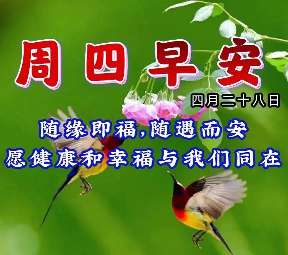 原创4月28日星期四清晨早上好问候祝福动态表情图片周四最新早安问候