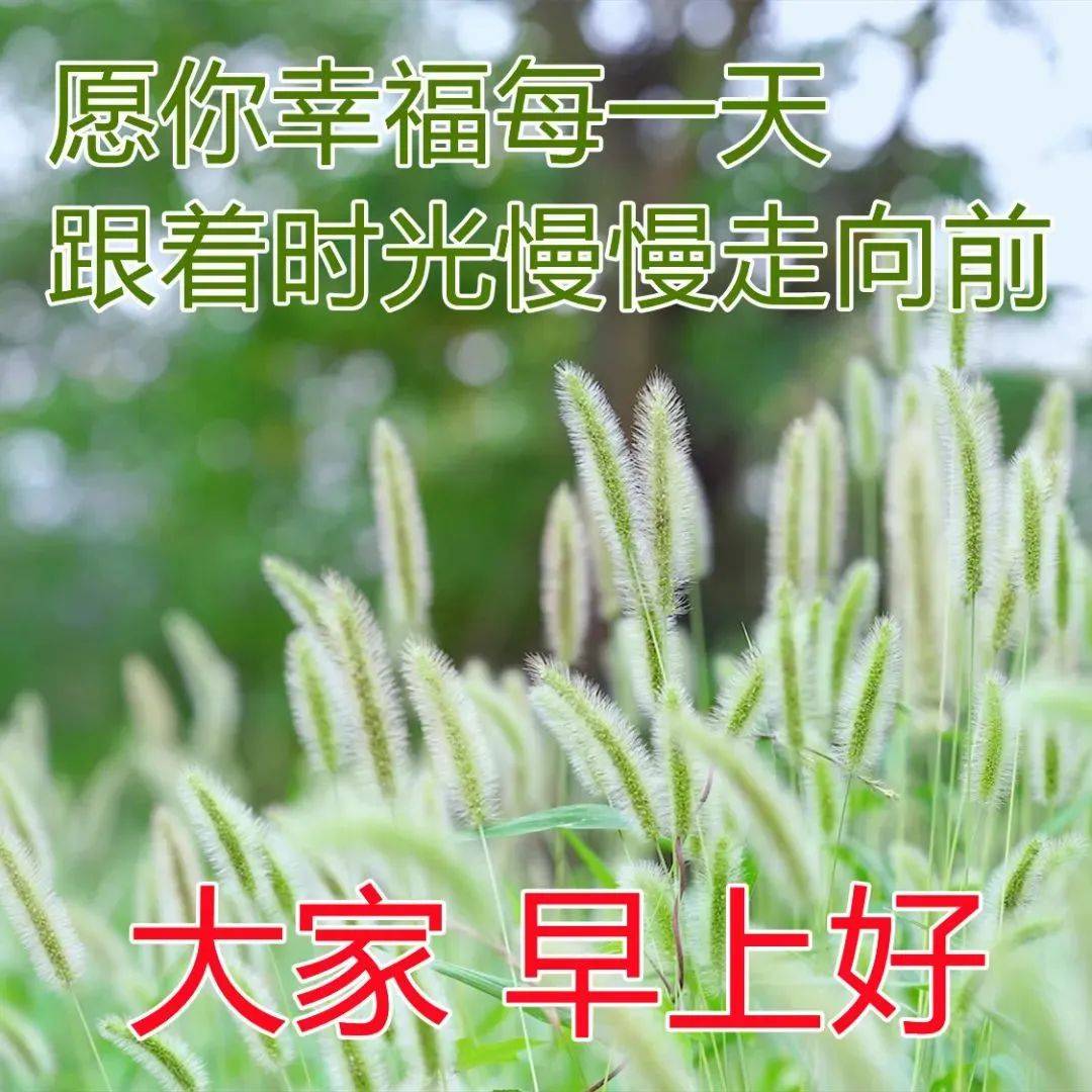 8張最新漂亮春天風景早安圖片帶字帶祝福語2022早上好問候祝福語風景