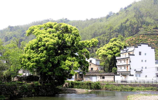 安徽有一座小村镇，坐落在群山之中，好似世外桃源，适合去自驾游