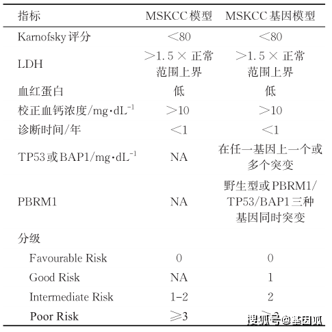 肾癌检查报告图片