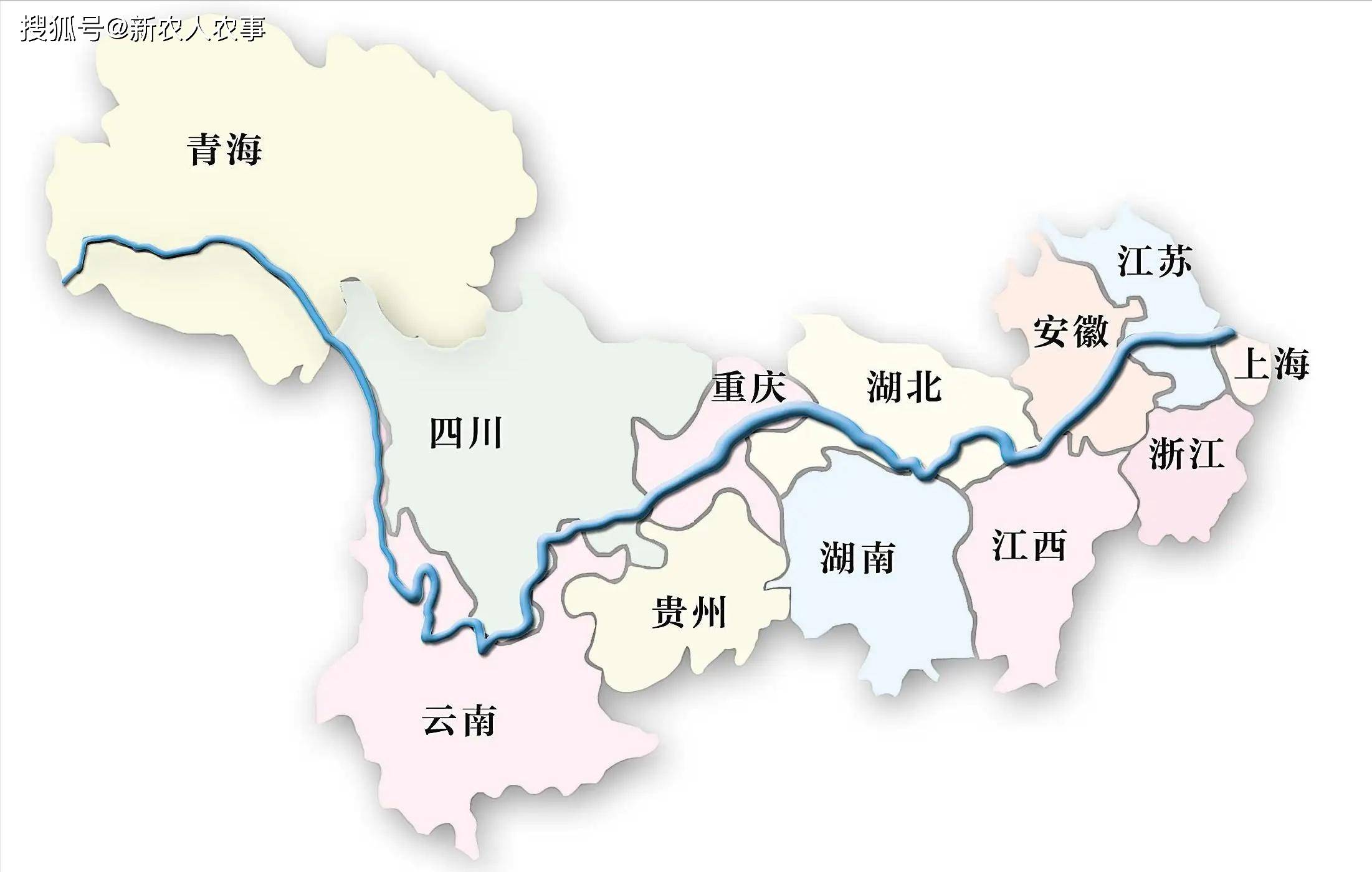 三米长300斤重,"长江鱼王"受伤搁浅,各部门专家合力救援_我国_动物_个