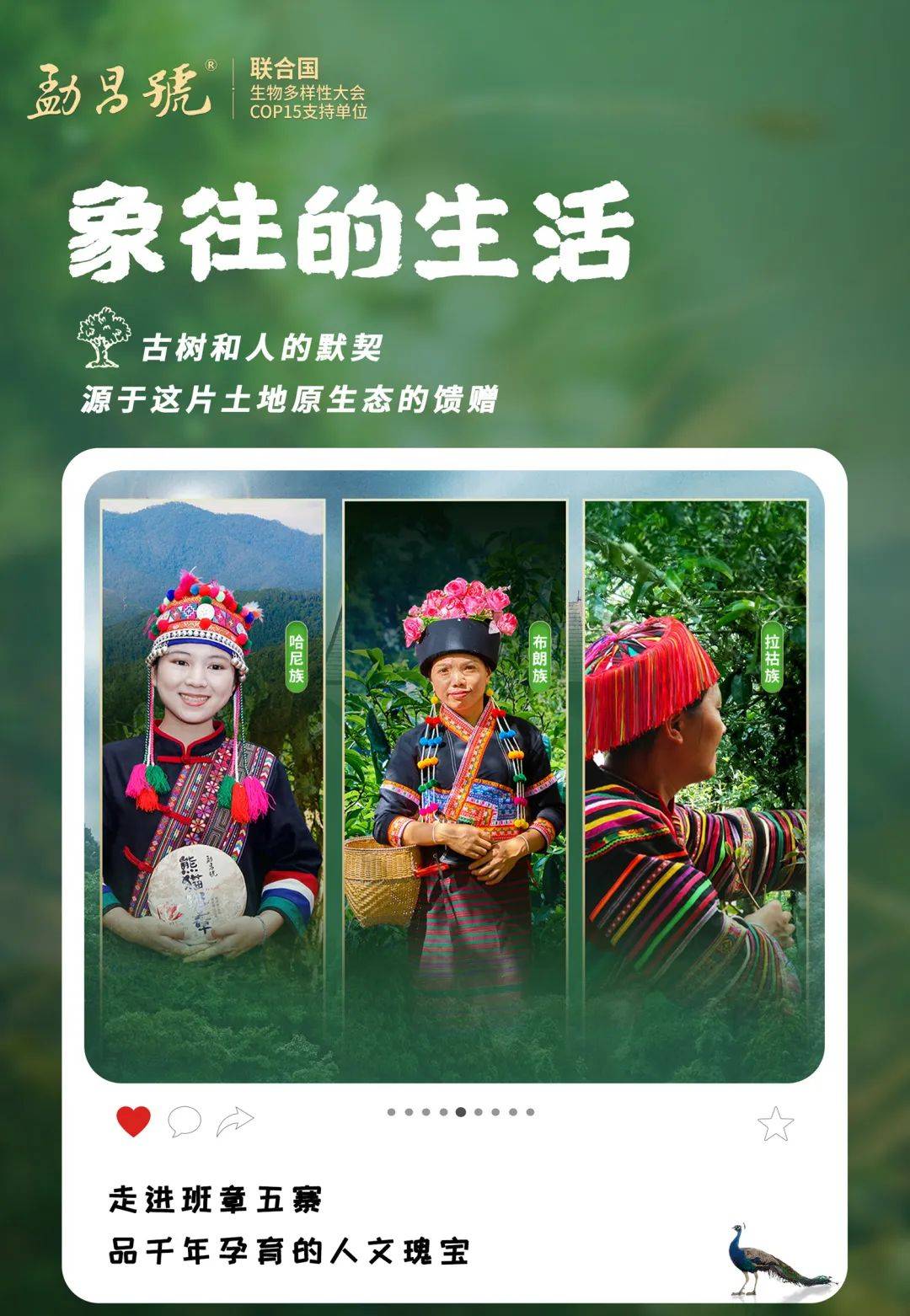 班章村_生态_五寨