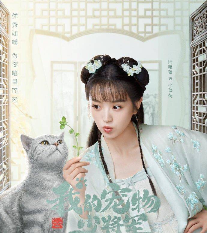 古装奇幻剧又来了,"猫系男友"直击少女心,网友:有