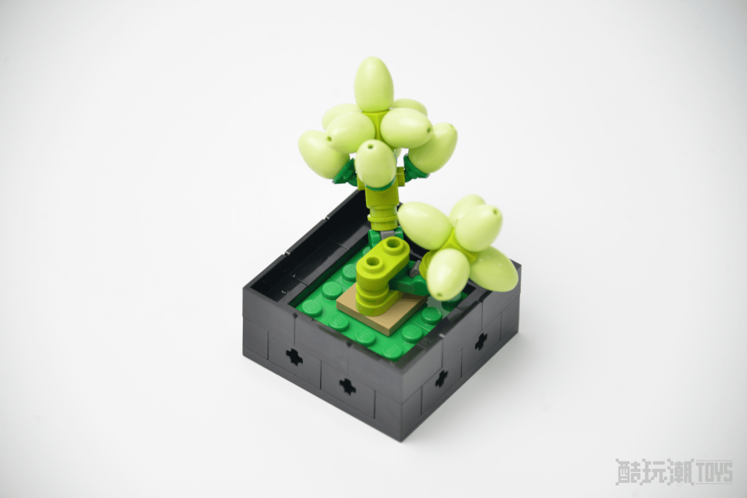 植物爱好者必入款乐高花植系列10309肉质植物开箱评测