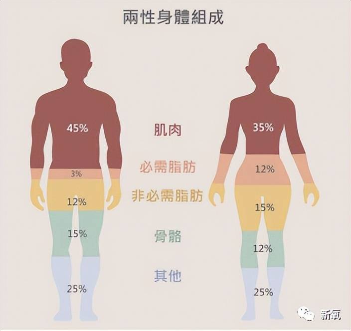 男女存在先天的肌肉结构差异,女生天生的肌肉含量就比男生要少.