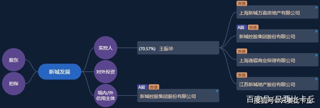 91%,可評級卻被下調了_銷售_王振華_集團