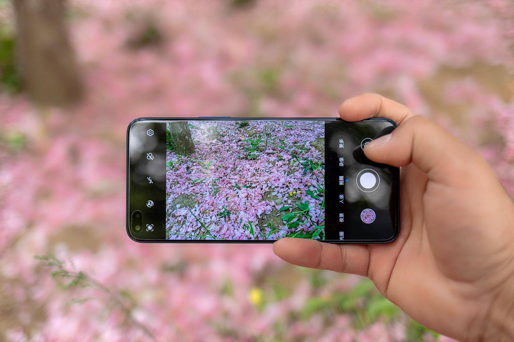 千元机里的拍照“显微镜”:荣耀play5活力版评测