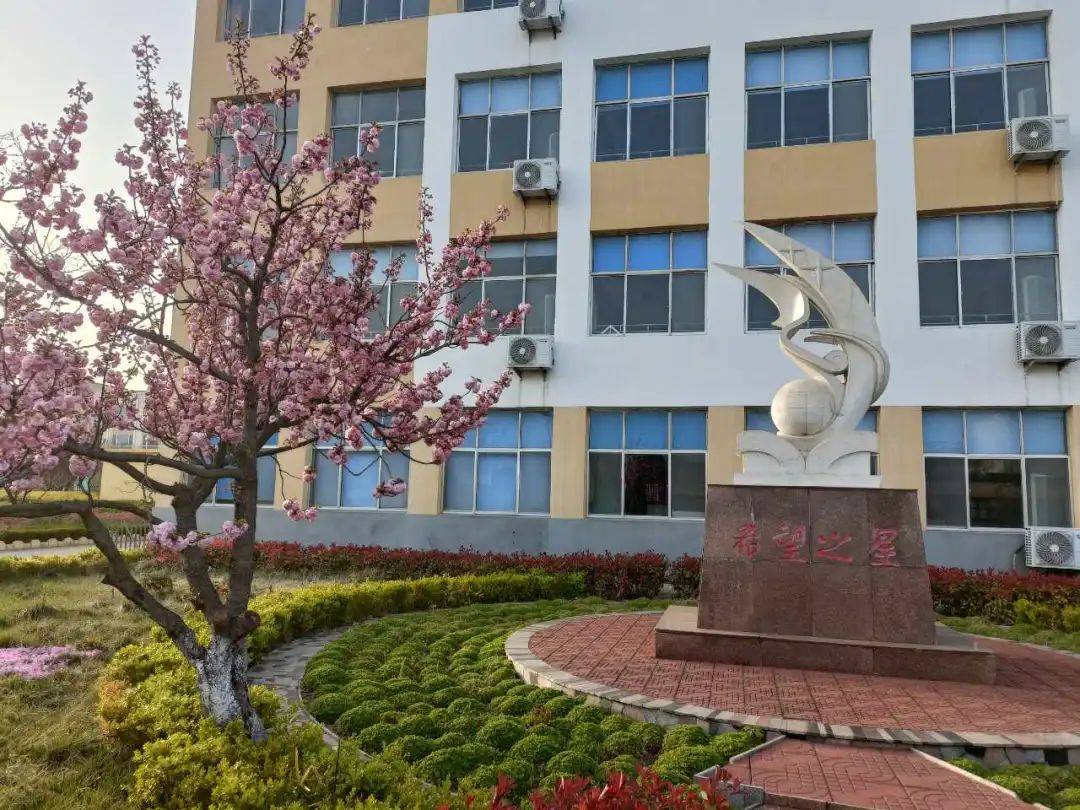 一大波春日美景"打包"给你_中小学_十五中学_春风