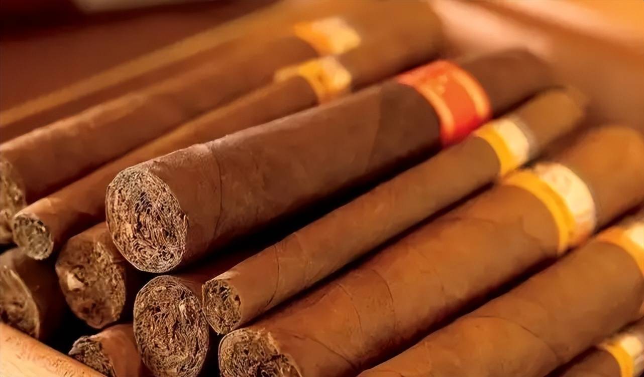 多米尼加狮王雪茄图片