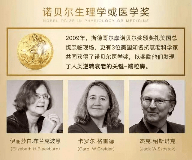 家因发现"端粒和端粒酶是如何保护染色体的"被授予诺贝尔生理或医学奖