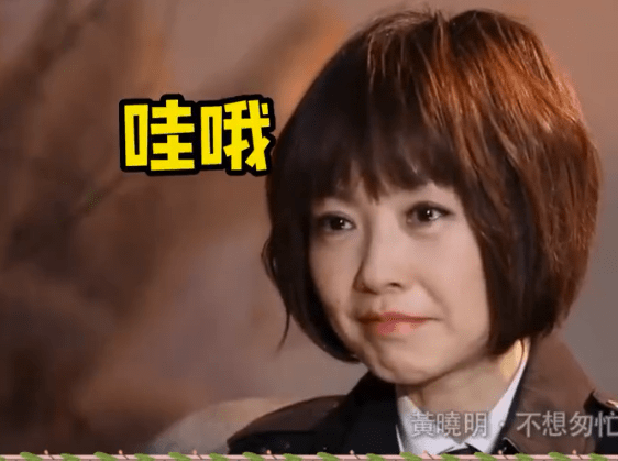 这番话说出来后他沉默了2秒钟,而对面的主持人鲁豫也词穷不知道如何