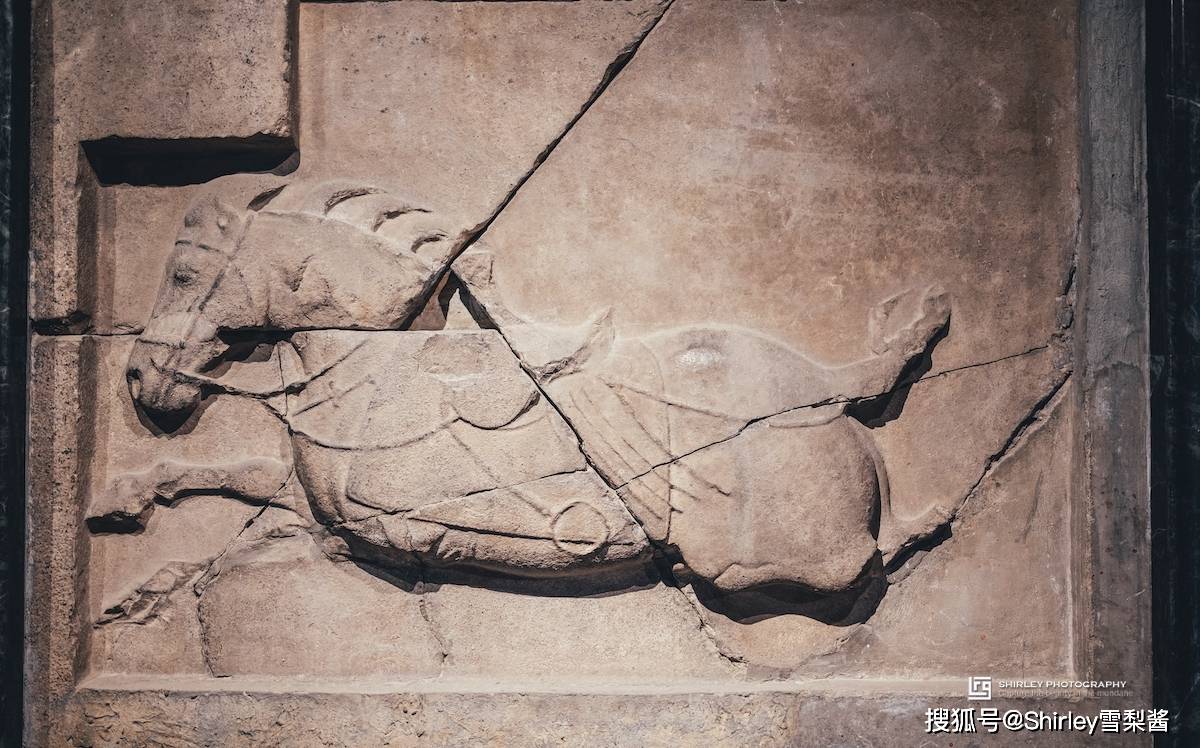 西安出土1400年前的石棺，上刻“开者即死”四字诅咒，墓主却是一位9岁小女孩