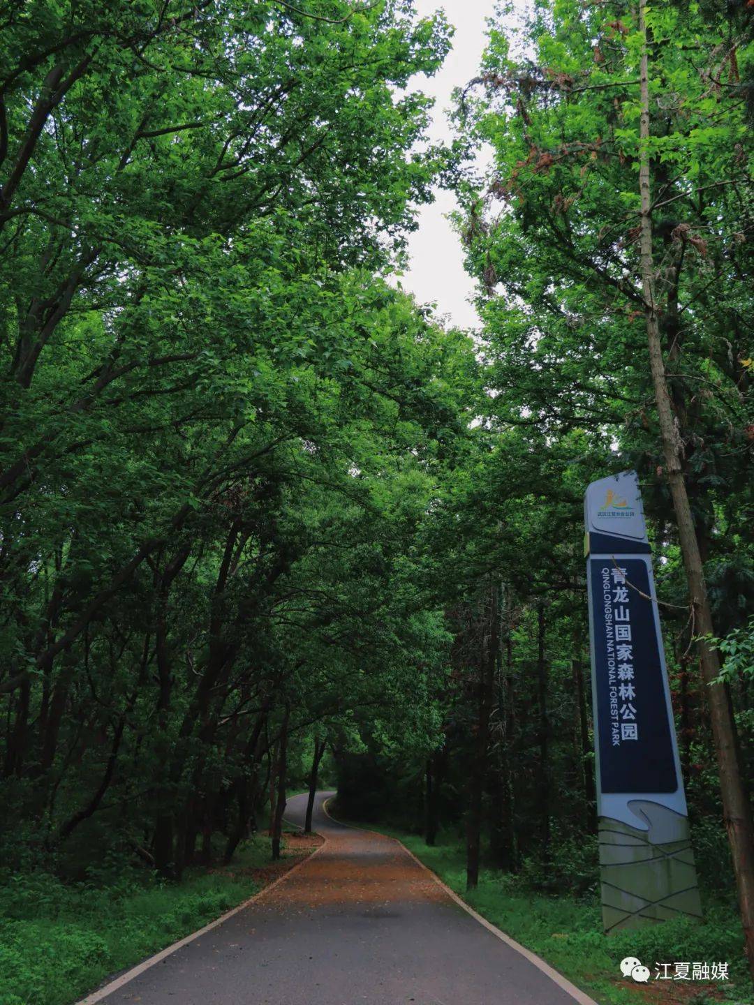 青龙山环山绿道图片