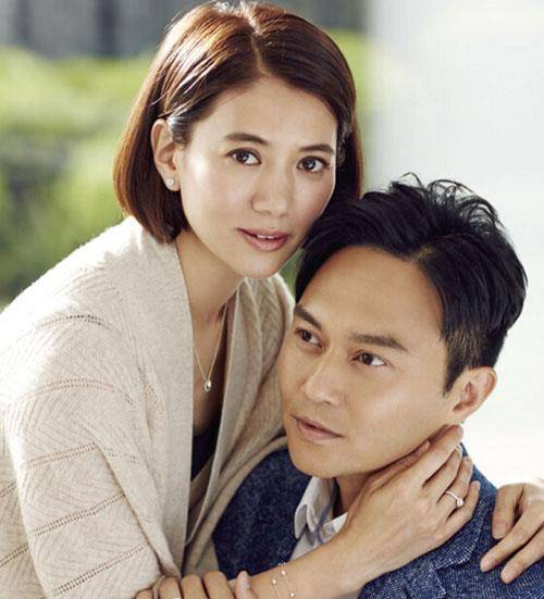 1993年,袁咏仪凭借爱情片《新不了情》获得第13届香港电影金像奖最佳