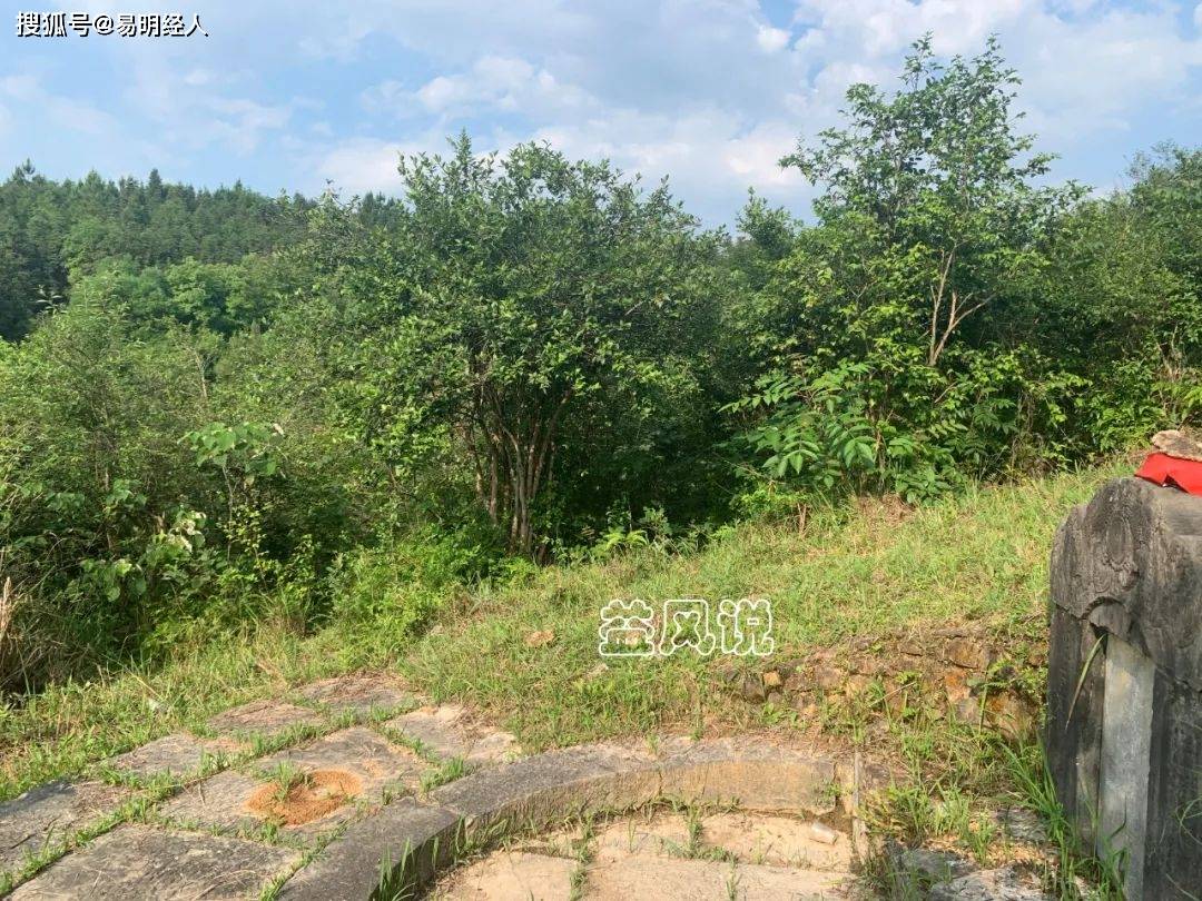 现场看左边龙砂,遮护周密,远处还有尖峰特起,位于辛方.