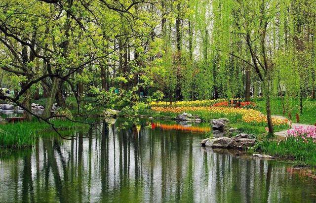 藏在浙江的赏花宝地，距西湖仅3千米，风景不输千岛湖，免费开放