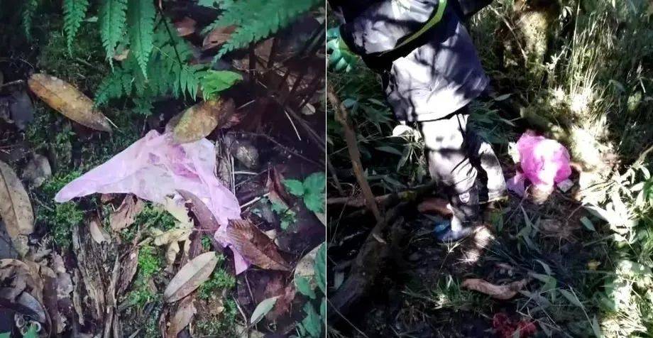 在大理苍山失联的13人全部找到,擅闯禁地后果多严重?