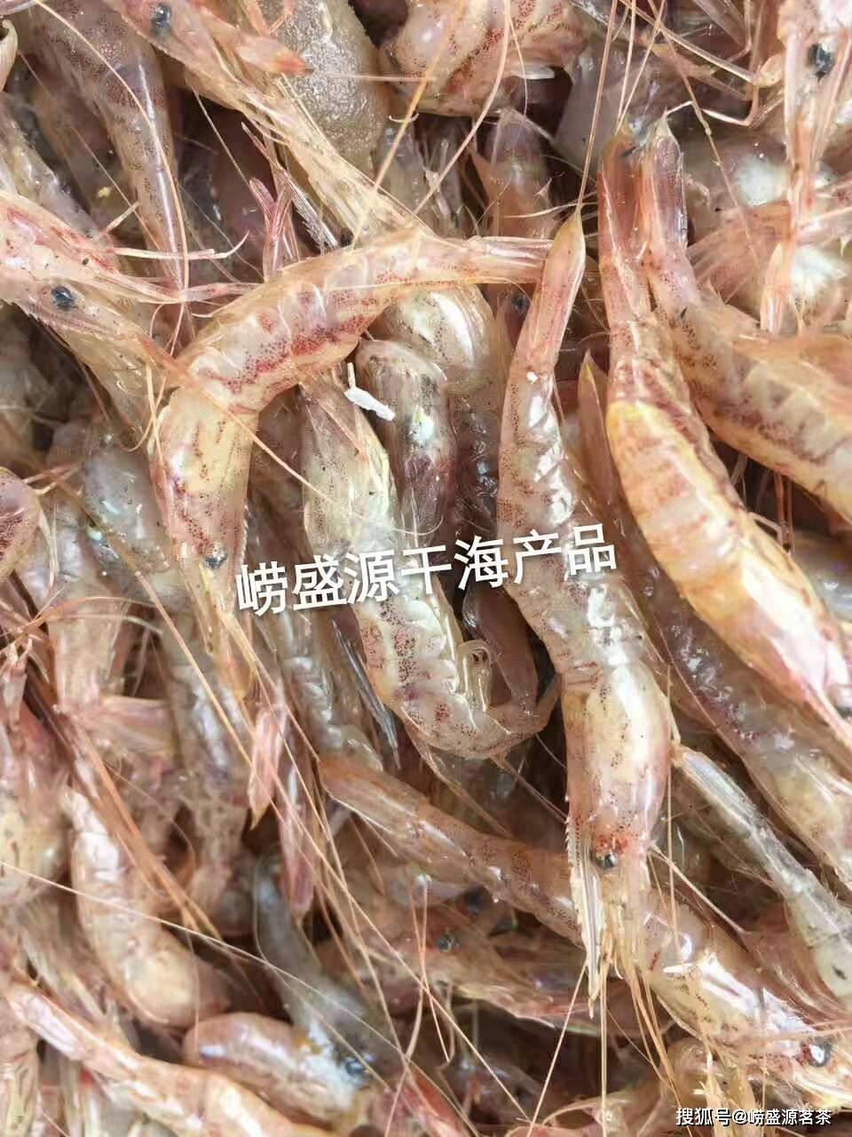 青岛崂山金钩海米产自于沙子口码头