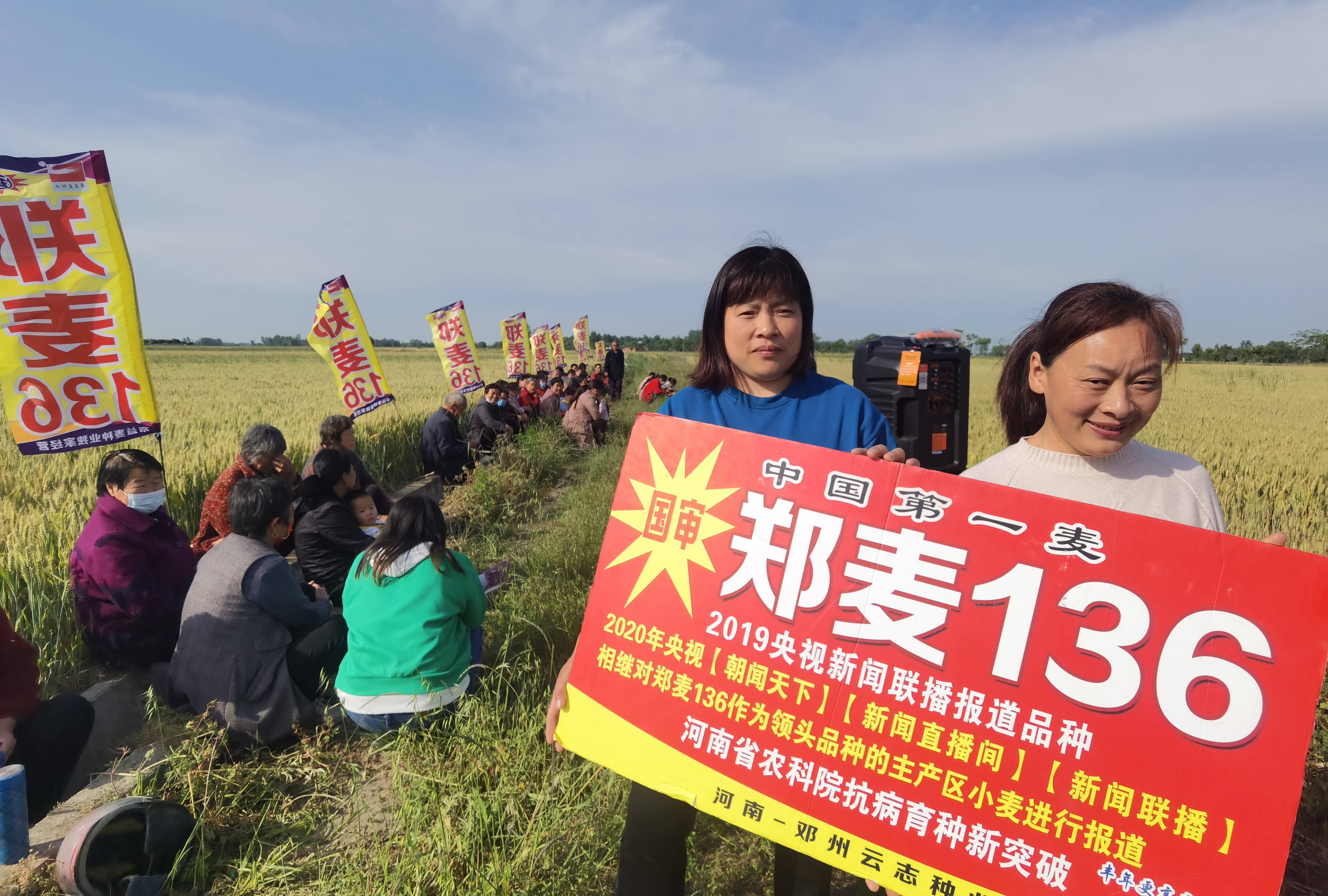 鄧州雲志種業在都司鎮舉辦鄭麥136農民觀摩會