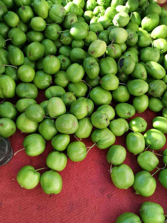 原创家里有闲钱的此树要种上2棵果子软糯奶香味一年两熟好养活