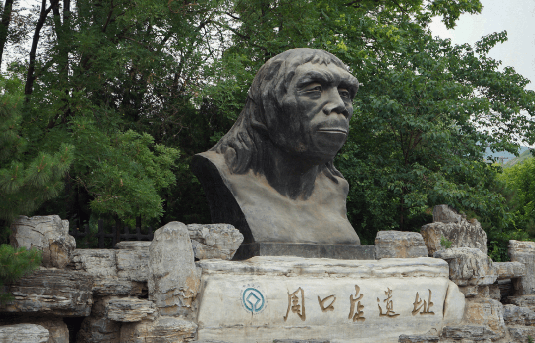 骇人伤痕揭示可怕历史:北京猿人曾遭入侵,沦为食物还被灭绝_智人_直立