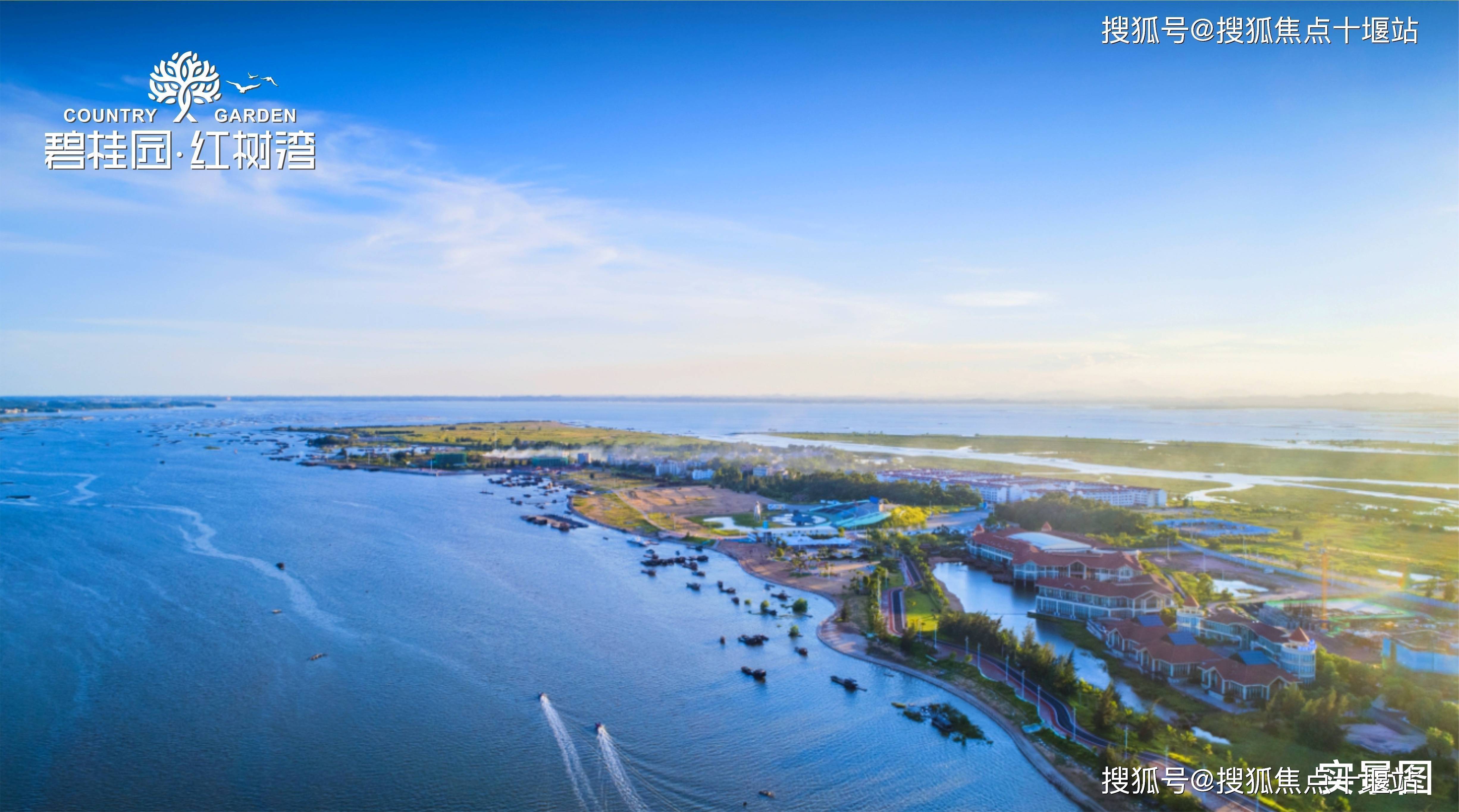 2022官网广西钦州碧桂园红树湾楼盘详情楼盘概况楼盘分析