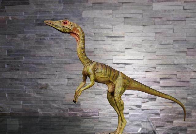 《侏罗纪世界2》霸王龙不着急跑,网友:发现可爱小冥河龙_t-rex_火山灰
