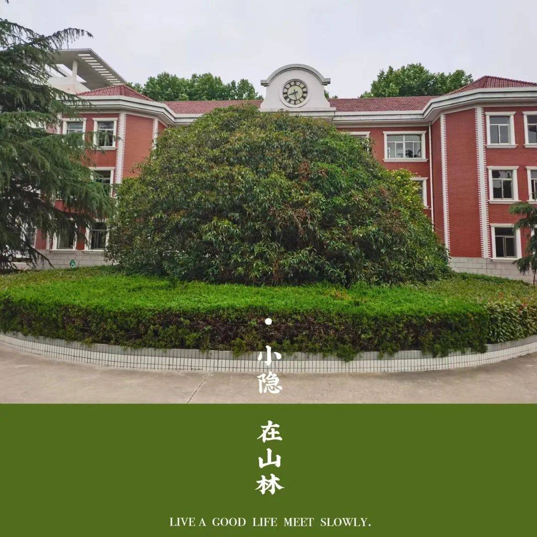 堅守教育本真 靜待花開繽紛——鹽城市龍岡中學發展建設巡禮(一)_校園