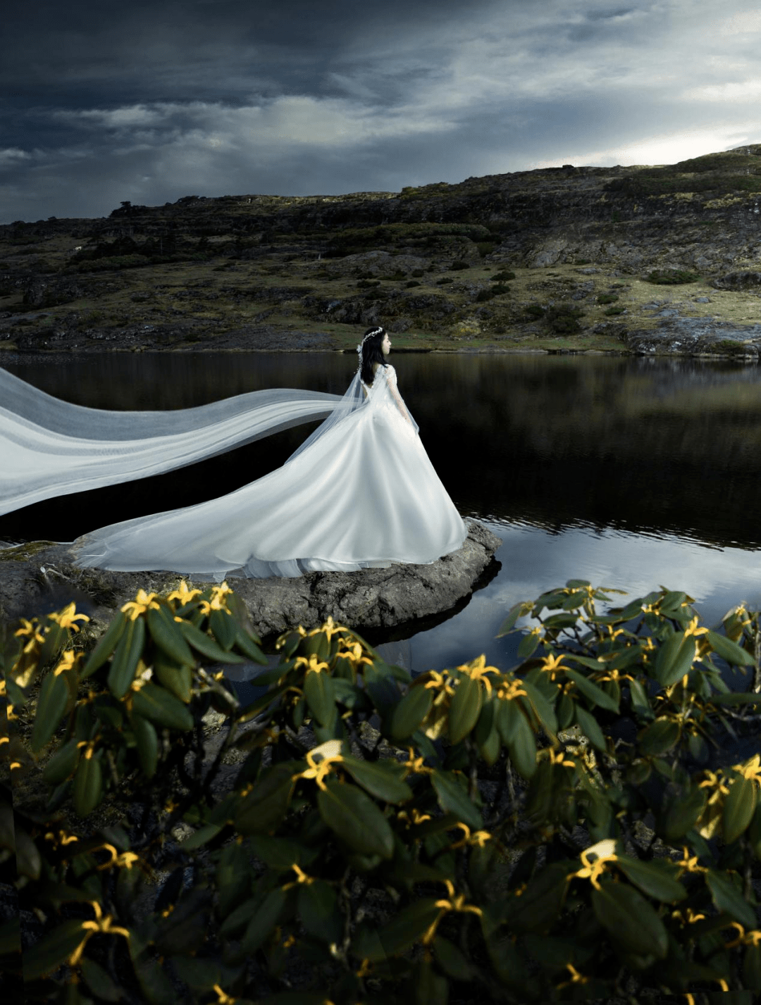 最美花仙子翩然降临