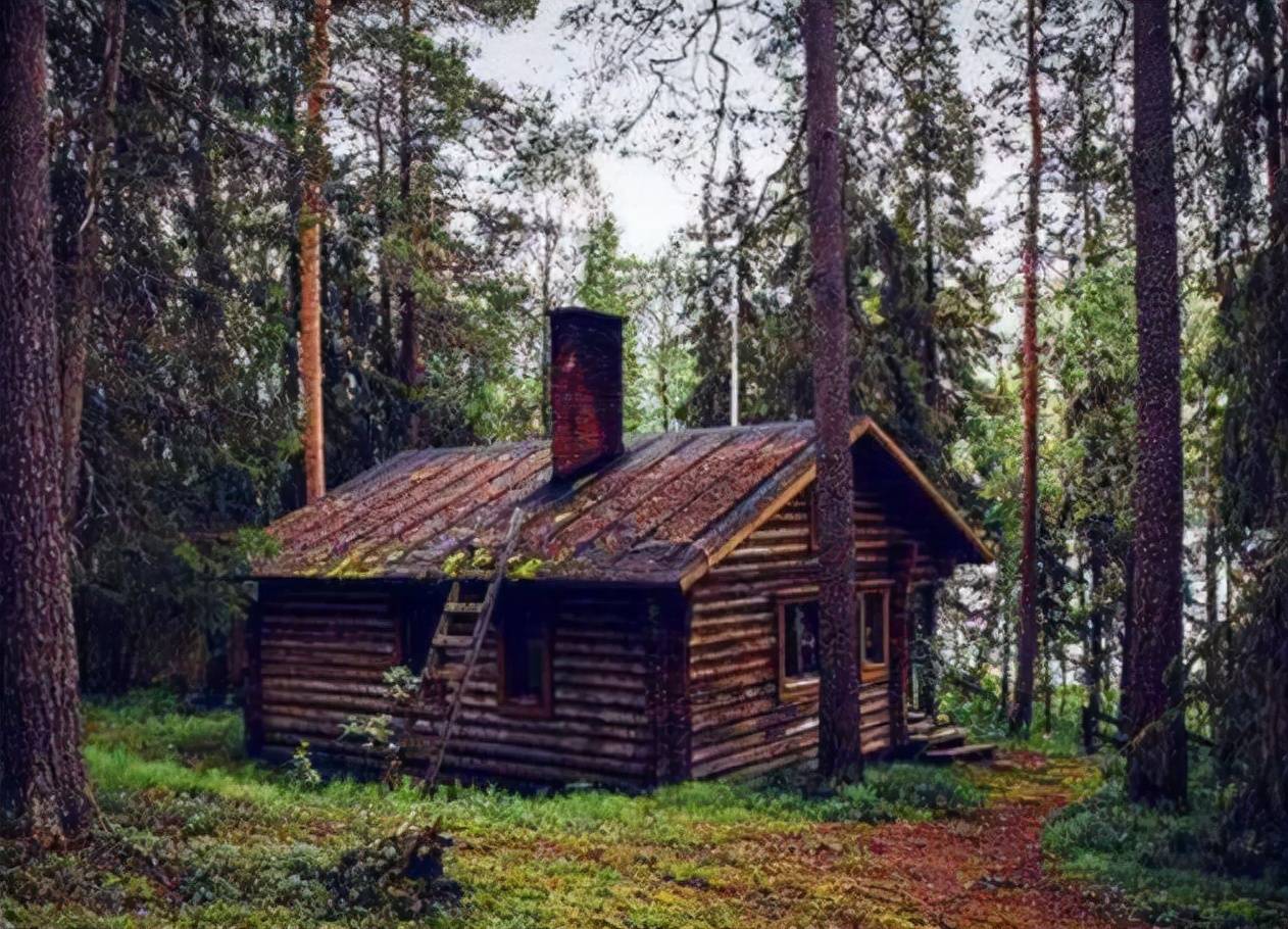 在俄罗斯旅游，看到小木屋为何不要轻举妄动，当地向导说出答案