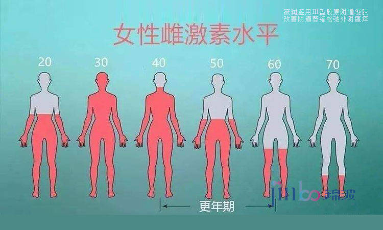 薇润百科:女性雌激素有什么用,看完你就明白重要性!