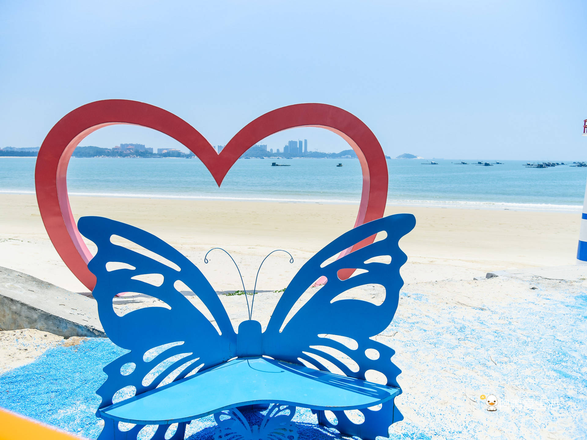 原创走进东山岛彩蝶湾搭乘浪漫海景小火车超多网红打卡地适合拍照