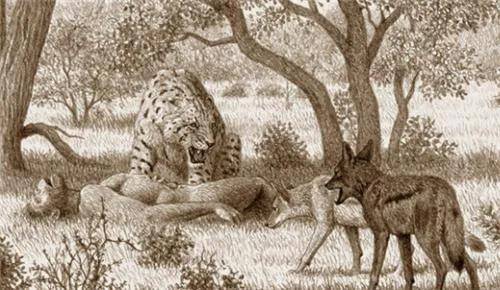 新生代生物图鉴:哺乳动物顽强对抗恐龙后代,人类先祖出现_爬行动物