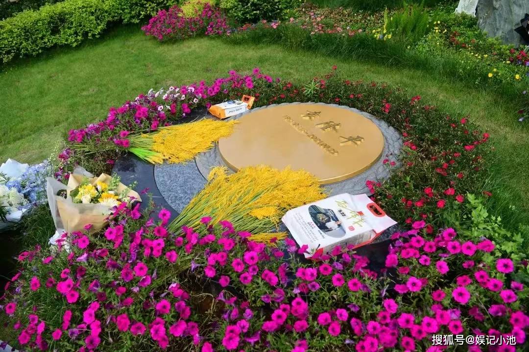 袁隆平院士去世一年夫人在墓地前双手合十悼念的鲜花摆满墓地
