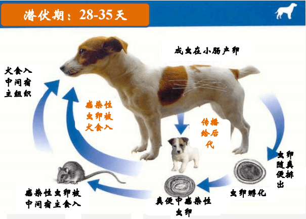 丨直播干货篇