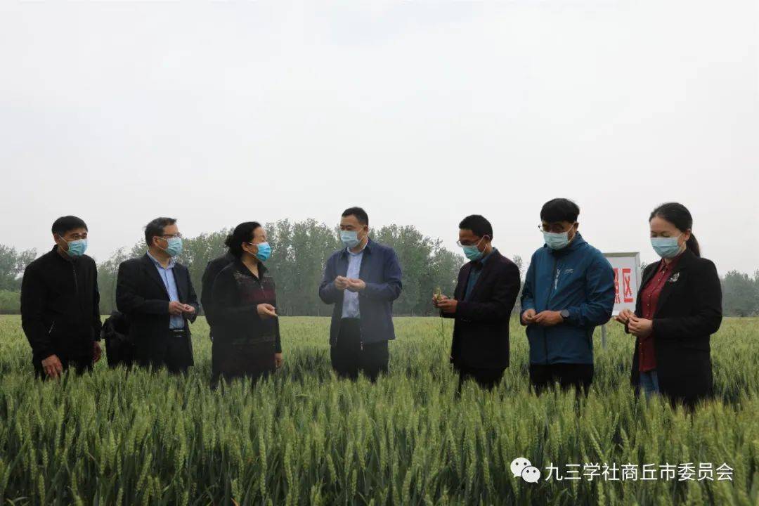 解楼村村委会主任,河南佳美食品有限公司负责人李中才,向张春华一行