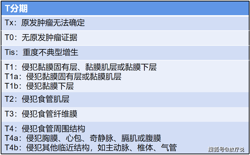 食管癌的分段