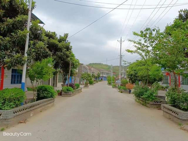 汉阴县双乳镇三同村多措并举推进乡村振兴示范村建设_强村_产业_发展